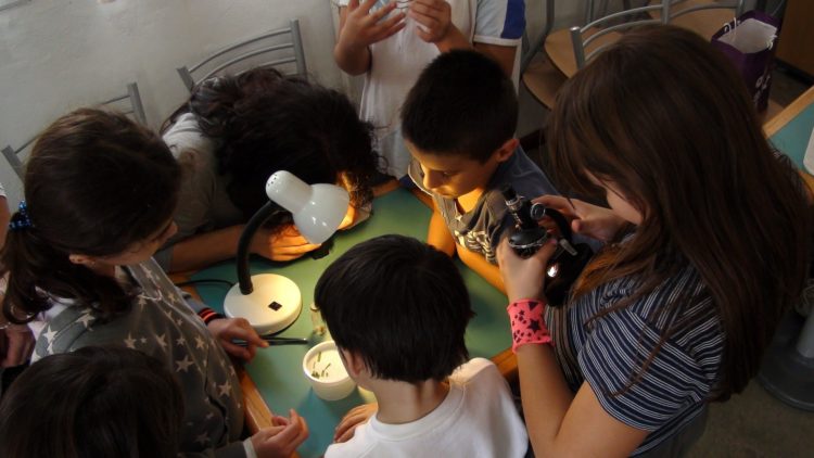 kids looking at microscopic specimens